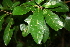  ( - BioBot00356)  @11 [ ] Copyright (2010) Unspecified Unspecified