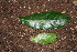  ( - BioBot00356)  @11 [ ] Copyright (2010) Unspecified Unspecified