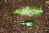  ( - BioBot00356)  @11 [ ] Copyright (2010) Unspecified Unspecified