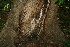  ( - BioBot00357)  @11 [ ] Copyright (2010) Unspecified Unspecified