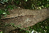  ( - BioBot00357)  @11 [ ] Copyright (2010) Unspecified Unspecified