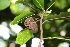  ( - BioBot00357)  @11 [ ] Copyright (2010) Unspecified Unspecified