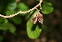  ( - BioBot00357)  @11 [ ] Copyright (2010) Unspecified Unspecified