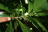  ( - BioBot00358)  @11 [ ] Copyright (2010) Unspecified Unspecified