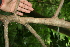  ( - BioBot00359)  @11 [ ] Copyright (2010) Unspecified Unspecified