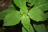  ( - BioBot00360)  @11 [ ] CreativeCommons - Attribution Non-Commercial Share-Alike (2010) Daniel H. Janzen Guanacaste Dry Forest Conservation Fund