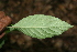  ( - BioBot00360)  @11 [ ] Copyright (2010) Unspecified Unspecified