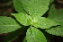  ( - BioBot00360)  @11 [ ] Copyright (2010) Unspecified Unspecified