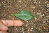  ( - BioBot00362)  @11 [ ] Copyright (2010) Unspecified Unspecified