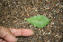  ( - BioBot00362)  @11 [ ] Copyright (2010) Unspecified Unspecified