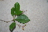  ( - BioBot00364)  @11 [ ] Copyright (2010) Unspecified Unspecified