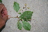  ( - BioBot00364)  @11 [ ] Copyright (2010) Unspecified Unspecified
