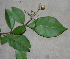  ( - BioBot00364)  @11 [ ] Copyright (2010) Unspecified Unspecified