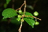  ( - BioBot00383)  @11 [ ] Copyright (2010) Unspecified Unspecified