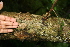  ( - BioBot00383)  @11 [ ] Copyright (2010) Unspecified Unspecified