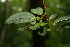  ( - BioBot00383)  @11 [ ] Copyright (2010) Unspecified Unspecified