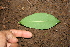  ( - BioBot00383)  @11 [ ] Copyright (2010) Unspecified Unspecified