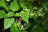  ( - BioBot00384)  @11 [ ] Copyright (2010) Unspecified Unspecified