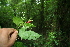  ( - BioBot00384)  @11 [ ] Copyright (2010) Unspecified Unspecified