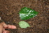  ( - BioBot00384)  @11 [ ] Copyright (2010) Unspecified Unspecified