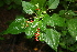  ( - BioBot00385)  @11 [ ] Copyright (2010) Unspecified Unspecified