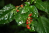  ( - BioBot00385)  @11 [ ] Copyright (2010) Unspecified Unspecified