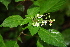  ( - BioBot00385)  @11 [ ] Copyright (2010) Unspecified Unspecified