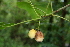  ( - BioBot00395)  @11 [ ] Copyright (2010) Unspecified Unspecified