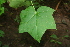  ( - BioBot00395)  @11 [ ] Copyright (2010) Unspecified Unspecified
