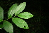  ( - BioBot00406)  @11 [ ] Copyright (2010) Unspecified Unspecified