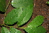  ( - BioBot00406)  @11 [ ] Copyright (2010) Unspecified Unspecified