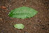  ( - BioBot00406)  @11 [ ] Copyright (2010) Unspecified Unspecified