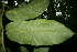  ( - BioBot00407)  @11 [ ] Copyright (2010) Unspecified Unspecified