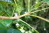  ( - BioBot00411)  @11 [ ] Copyright (2010) Unspecified Unspecified