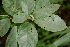  ( - BioBot00416)  @11 [ ] CreativeCommons - Attribution Non-Commercial Share-Alike (2010) Daniel H. Janzen Guanacaste Dry Forest Conservation Fund