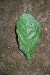  ( - BioBot00416)  @11 [ ] Copyright (2010) Unspecified Unspecified
