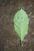 ( - BioBot00416)  @11 [ ] Copyright (2010) Unspecified Unspecified