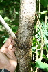  ( - BioBot00417)  @11 [ ] Copyright (2010) Unspecified Unspecified