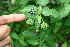  ( - BioBot00422)  @11 [ ] Copyright (2010) Unspecified Unspecified