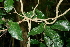  ( - BioBot00431)  @11 [ ] Copyright (2010) Unspecified Unspecified