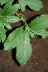  ( - BioBot00434)  @11 [ ] Copyright (2010) Unspecified Unspecified