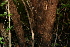  ( - BioBot00440)  @11 [ ] Copyright (2010) Unspecified Unspecified