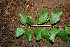  ( - BioBot00440)  @11 [ ] Copyright (2010) Unspecified Unspecified