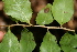  ( - BioBot00440)  @11 [ ] Copyright (2010) Unspecified Unspecified