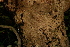  ( - BioBot00441)  @11 [ ] Copyright (2010) Unspecified Unspecified