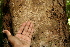  ( - BioBot00441)  @11 [ ] Copyright (2010) Unspecified Unspecified
