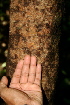  ( - BioBot00442)  @11 [ ] Copyright (2010) Unspecified Unspecified