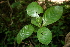  ( - BioBot00442)  @11 [ ] Copyright (2010) Unspecified Unspecified