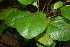  ( - BioBot00443)  @11 [ ] Copyright (2010) Unspecified Unspecified