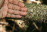  ( - BioBot00444)  @11 [ ] Copyright (2010) Unspecified Unspecified